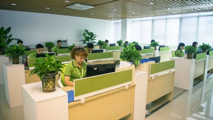 91香蕉视频网站業務,檔案調閱,檔案配送